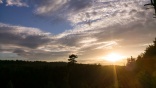 20170804_195211_063