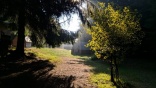 roso18-08-03_08-10_184