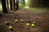 rosomak25_0728_171424_302